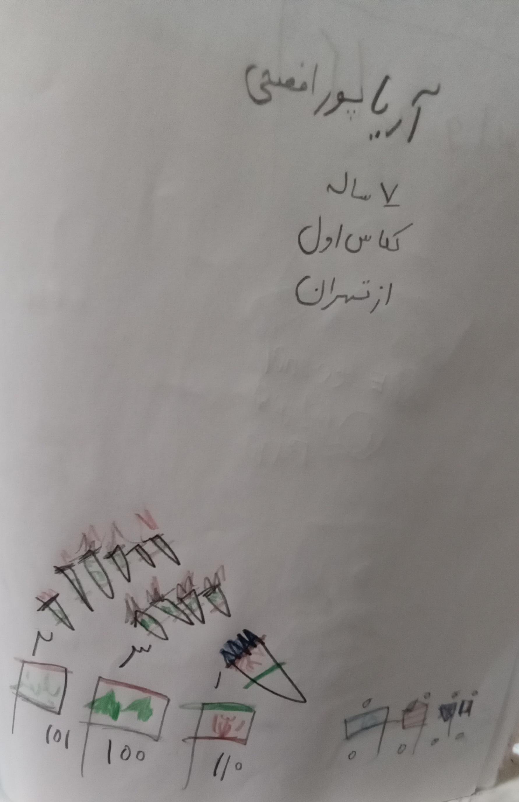 آریا پورافصحی